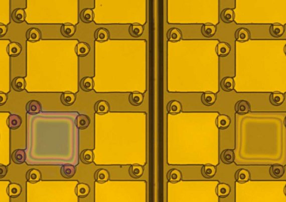 Two collapsed CMUT cells due to fabrication errors