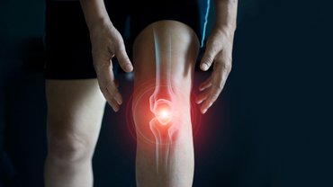 human knee