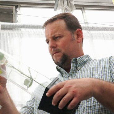Rodrigo Krugner, United States Department of Agriculture (USDA), in the greenhouse