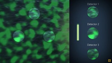 Multi-path interferometry QTec®