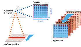 Hypercubes