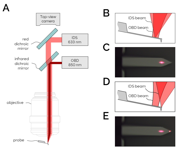  The Cypher IDS AFM incorporates a laser Doppler vibrometer (LDV) in addition to the standard optical beam detection (OBD) detector. 