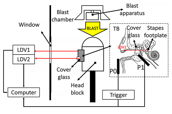 Experimental setup for blast response measurement