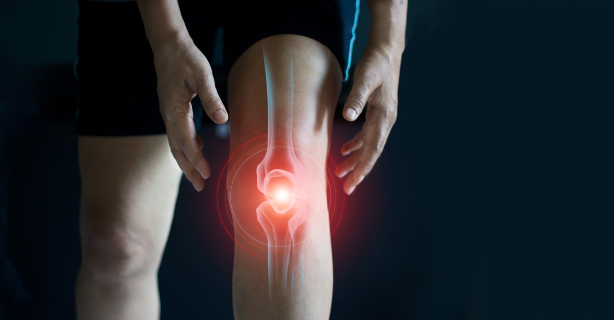 human knee