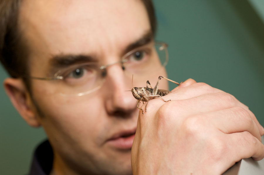 Interview with Dr. Windmill about hearing of insects